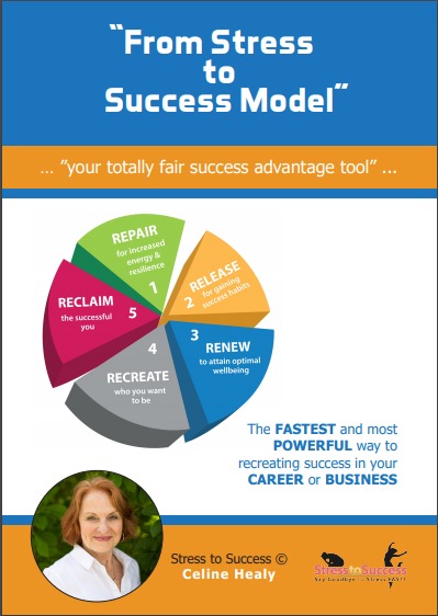 From-Stress-to-Success-Model-ebook